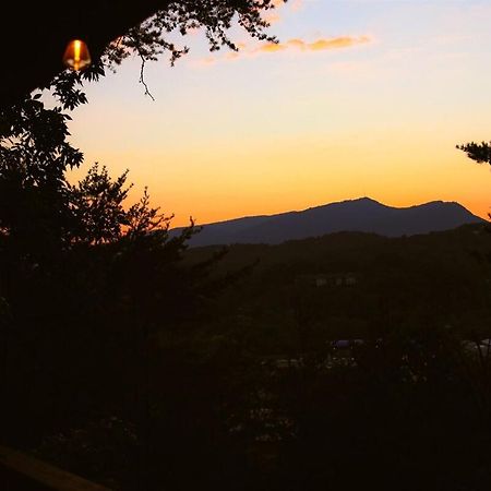 Bluff Mountain View Βίλα Pigeon Forge Εξωτερικό φωτογραφία